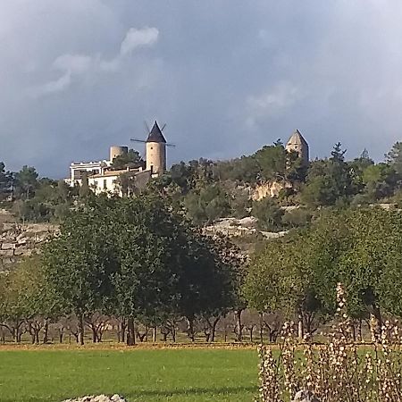 Villa Beatrice Sencelles Dış mekan fotoğraf