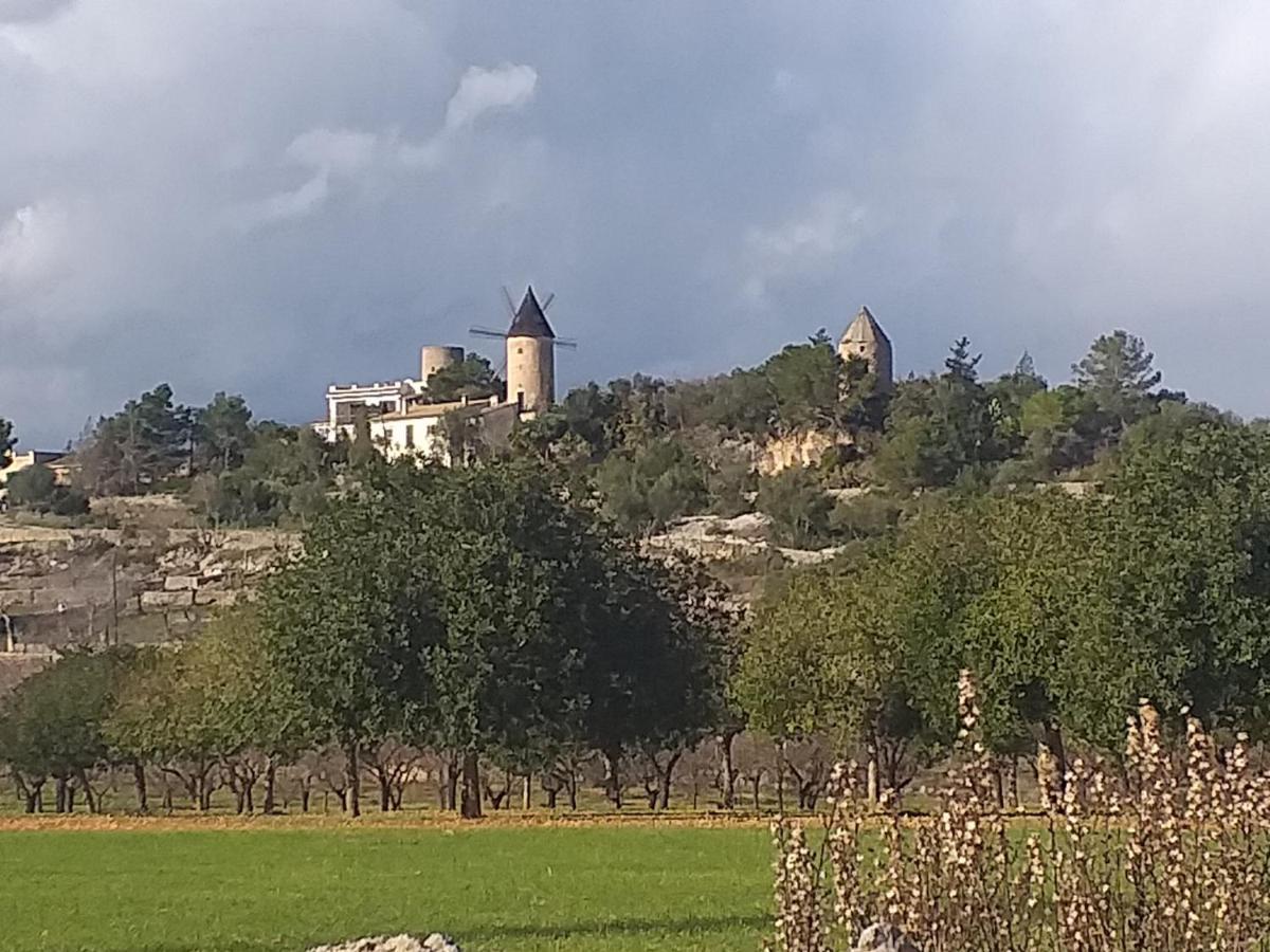 Villa Beatrice Sencelles Dış mekan fotoğraf